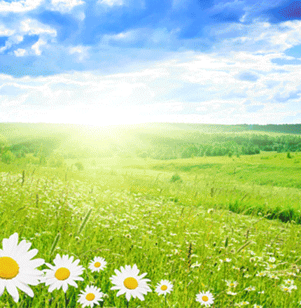 Электронная версия журнала "Сады и огороды Приморья"