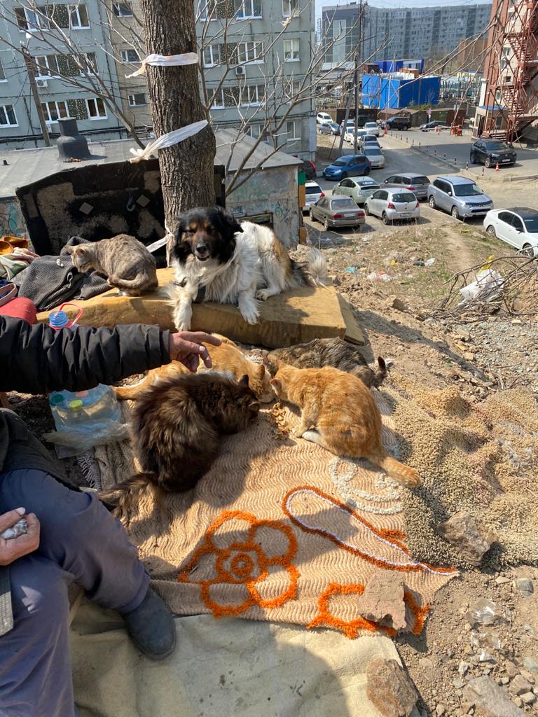 С кошкой и собакой под боком: женщина ночует на улице в центре Владивостока  | 23.04.2021 | Владивосток - БезФормата