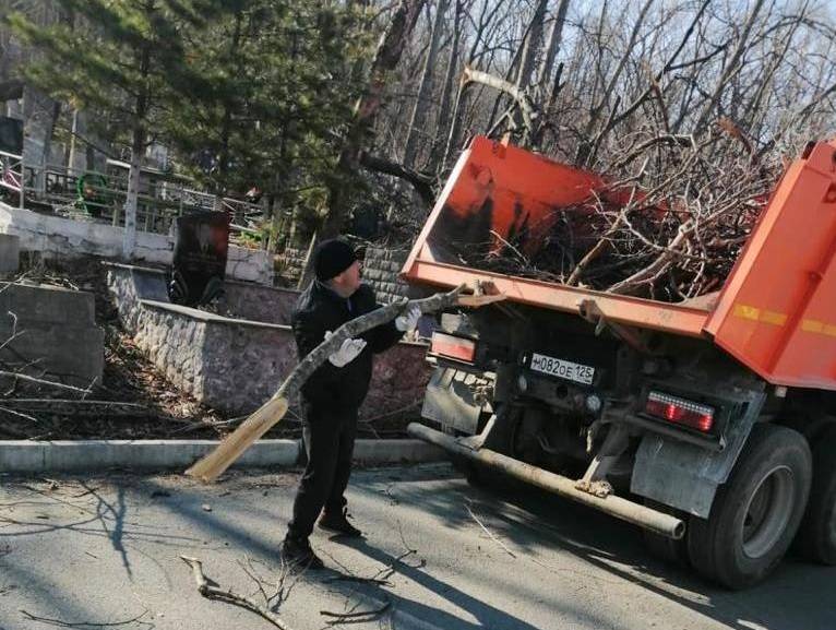 Волонтёры помогают убирать ветки на кладбищах Владивостока