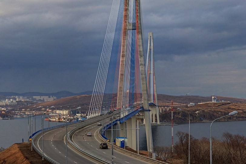 Жителя Владивостока, спрыгнувшего с Русского моста, довели до смерти