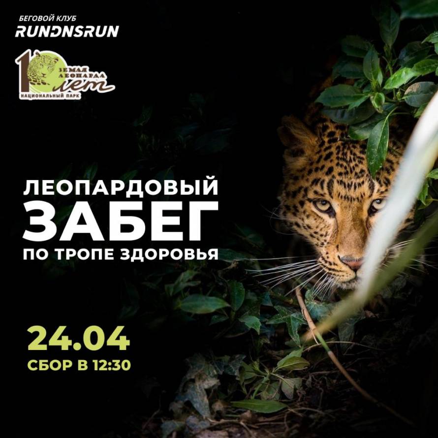 «Леопардовый забег» по тропе здоровья состоится во Владивостоке
