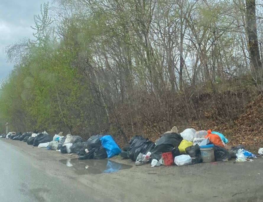 Дачный поселок утопает в мусоре в Приморье