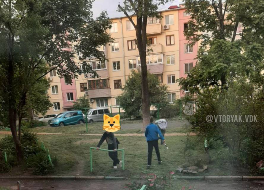 Маленькие хулиганы устроили дебош в одном из жилых дворов Владивостока