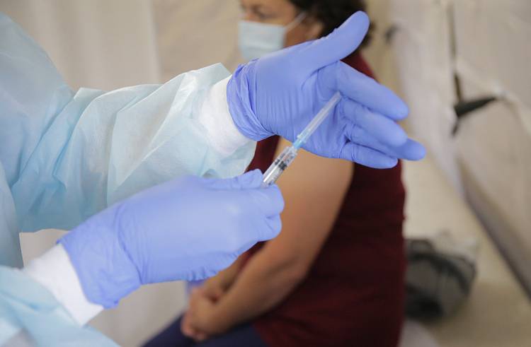 В Приморье пройдет вакцинация от клещевого энцефалита