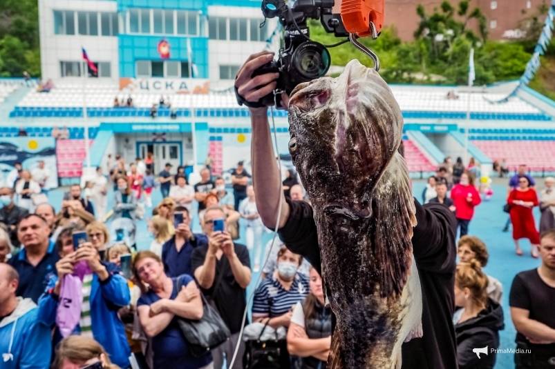 «Будет клёв»: День рыбака во Владивостоке удивит жителей и гостей Приморья