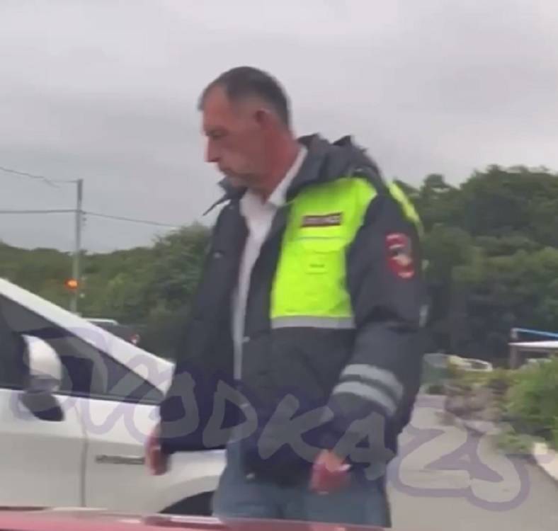 Неадекватный мужчина в куртке ДПС спровоцировал аварию в Приморье