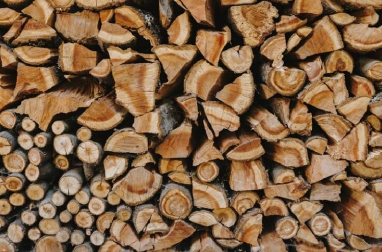 Более 40 тысяч кубометров лесопродукции вывезут из Приморского края