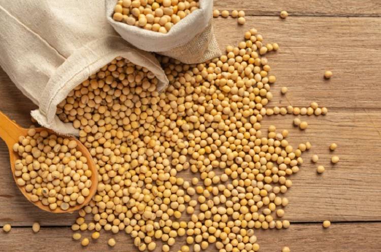 С начала года в  Приморье на экспорт оформлено более 80 тонн зерна