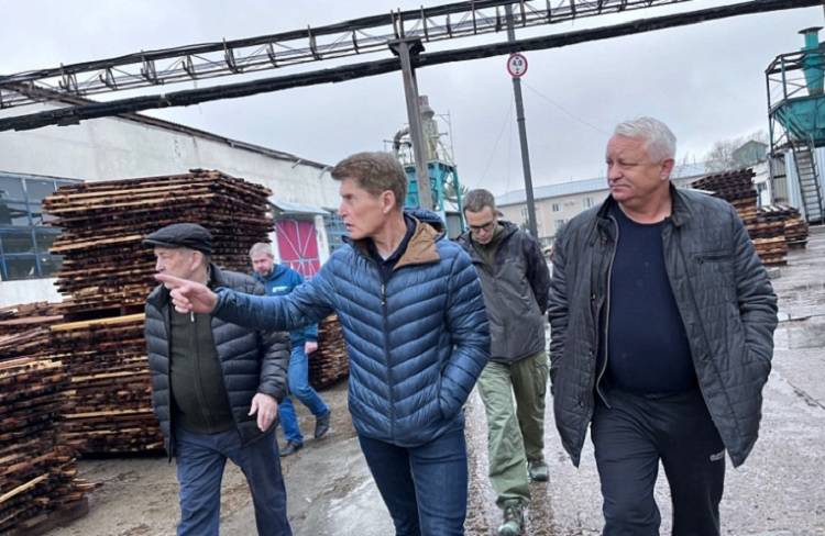 Власти Приморского края окажут поддержку сгоревшему цеху в Лесозаводске