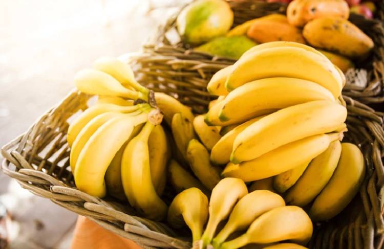Бананы могут признать социально значимым продуктов в России