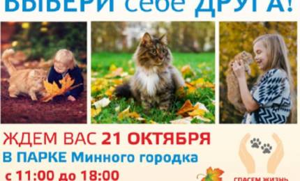 3837e8043f7f8ff94913ac2b320ab795b9ee1a68.jpeg