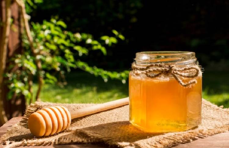Мед защитит от простуды, но не поможет ее лечить