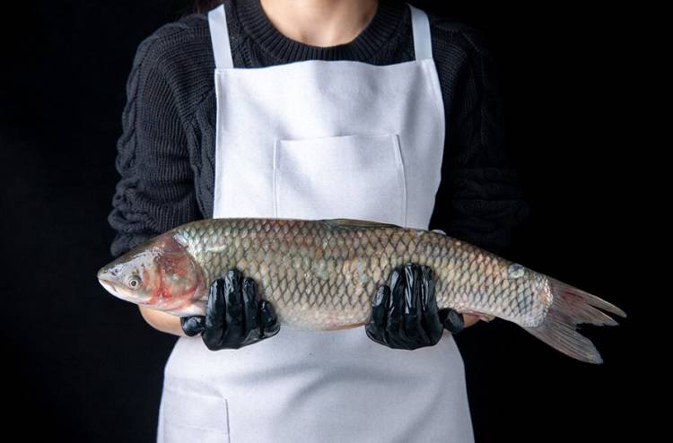 Незаконную продажу красной рыбы выявили в Уссурийске