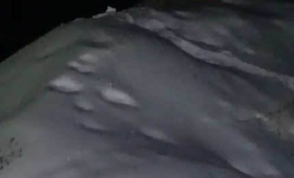 84322e9593baf256e85549523184e8de2b7b3164.png