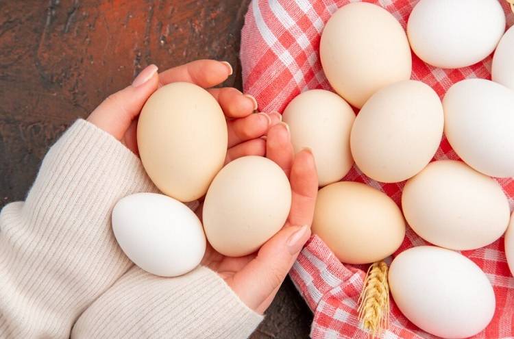 В России ожидают снижение цен на куриные яйца в ближайшее время