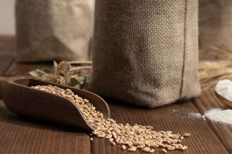 За год экспорт зерна через Приморье вырос в 2,5 раза