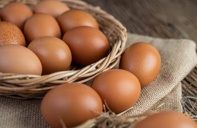 Цена на куриные яйца продолжает снижаться в России