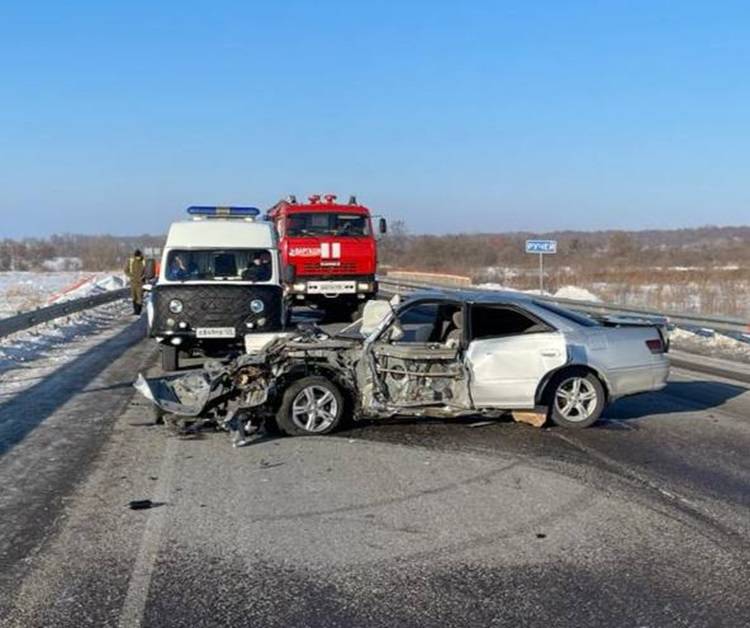 Четыре человека погибли в жутком ДТП на трассе в Приморье