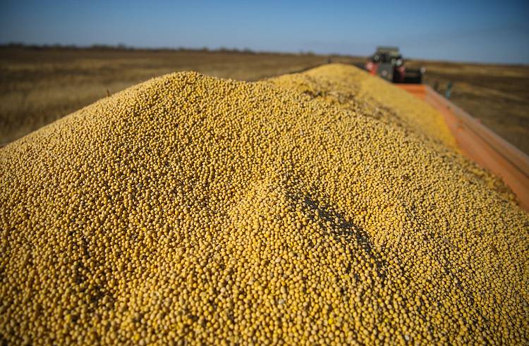Аграрный экспорт Приморья увеличился до 1,9 миллиарда долларов