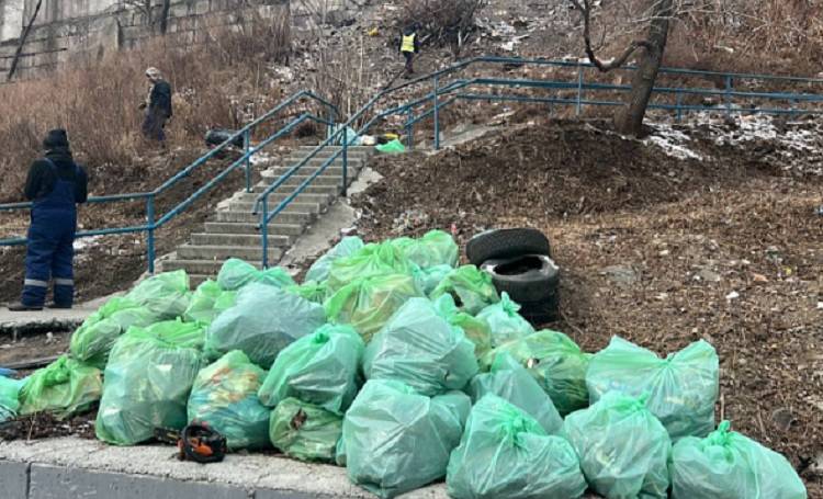 Более 80 кубических метров мусора вывезли с улиц Владивостока