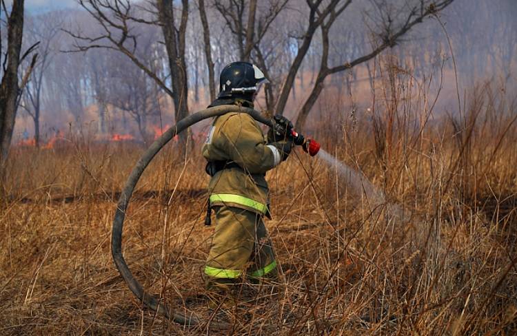 Шесть природных пожаров ликвидировали в Приморье