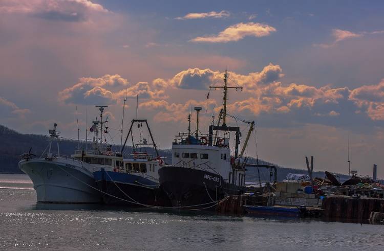 Переработчики Приморья поставили рекорд по объемам обработки рыбы в море