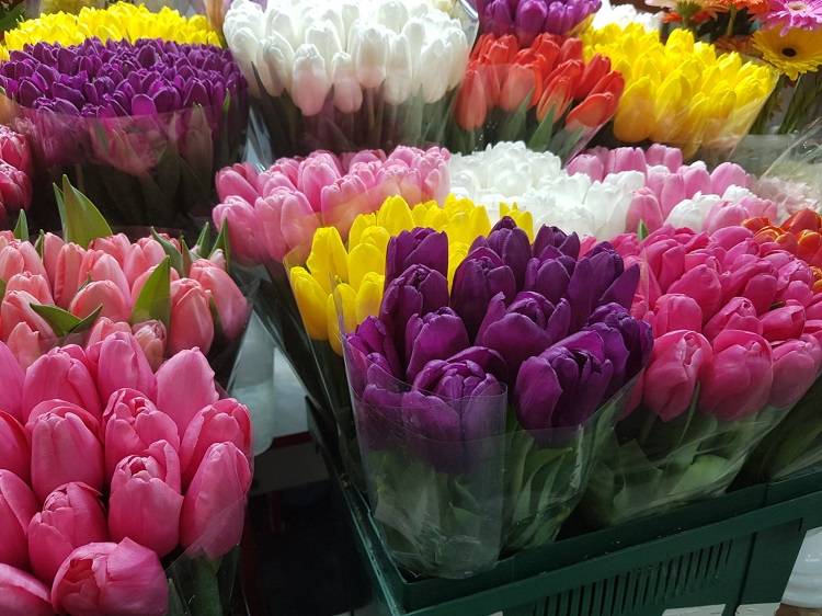 Более 400 тысяч тюльпанов вывезено из Приморья в другие регионы страны