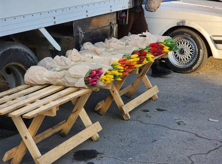 Незаконную торговлю цветами пресекают во Владивостоке