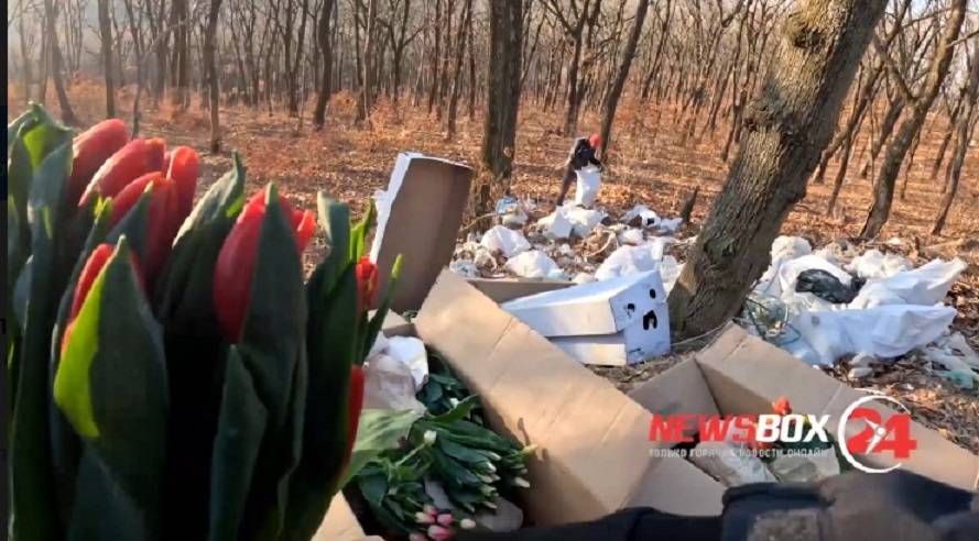Бегуны наткнулись на тюльпановое «кладбище» во Владивостоке