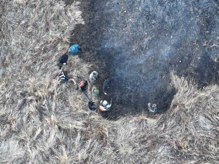 Девять природных пожаров тушат огнеборцы в Приморье