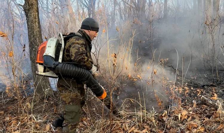 Почти 80 человек тушат пожары в Надеждинском районе Приморья