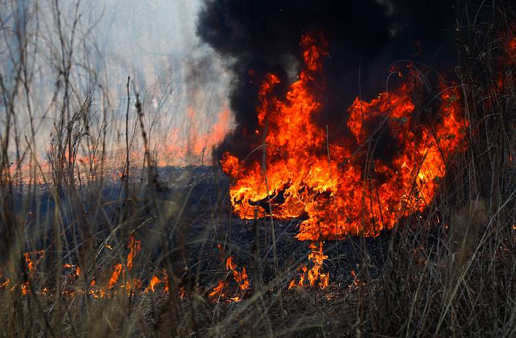 Житель поселка Мирный задержан за поджог травы в Надеждинском районе
