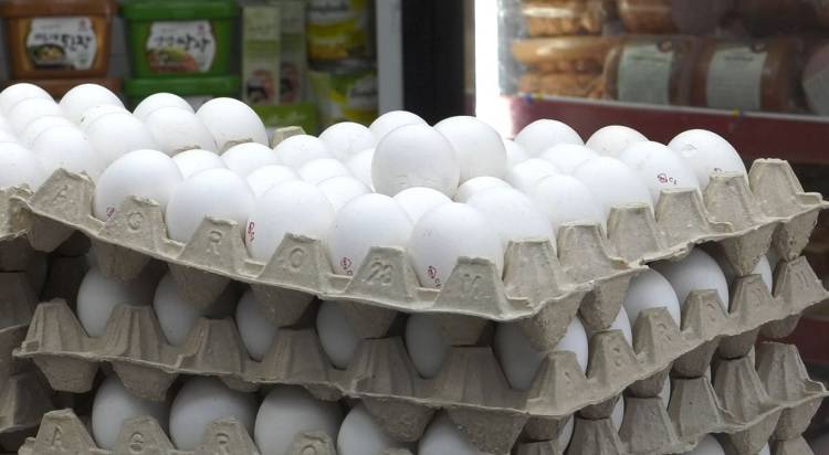 С начала года куриное яйцо подешевело на 4%