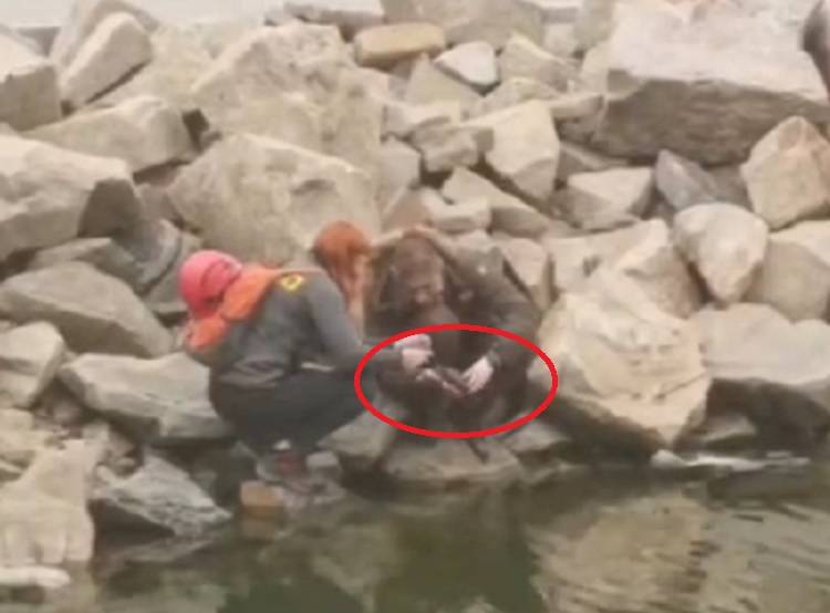 «Не трогайте их»: посетители озера Сафронова беспокоят красноухих черепах