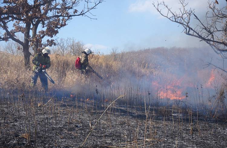 В Приморье за сутки потушили 30 природных пожаров