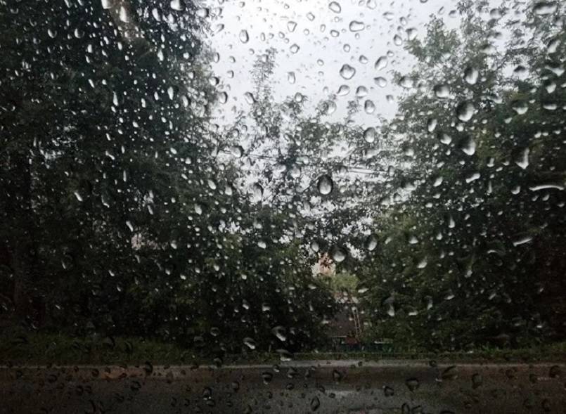 Грозы и дожди: о погоде на неделю в Приморье рассказали синоптики