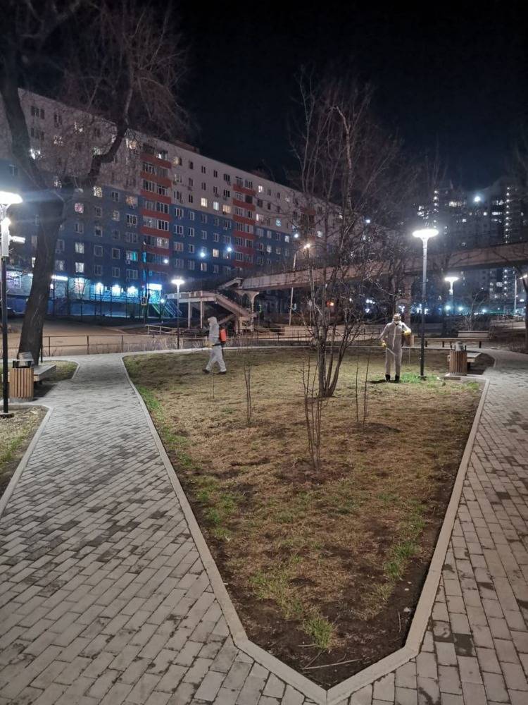 Общественные пространства обрабатывают от клещей во Владивостоке