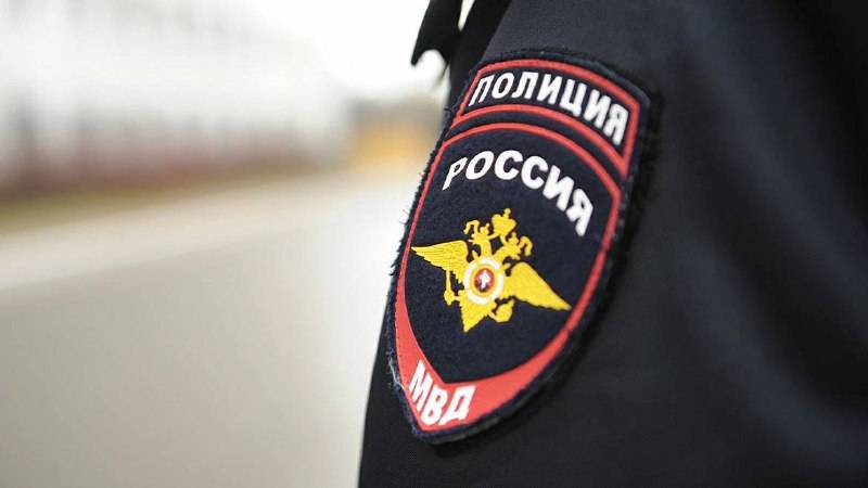 Полиция Владивостока разбирается, кто замуровал кошек в подвале дома