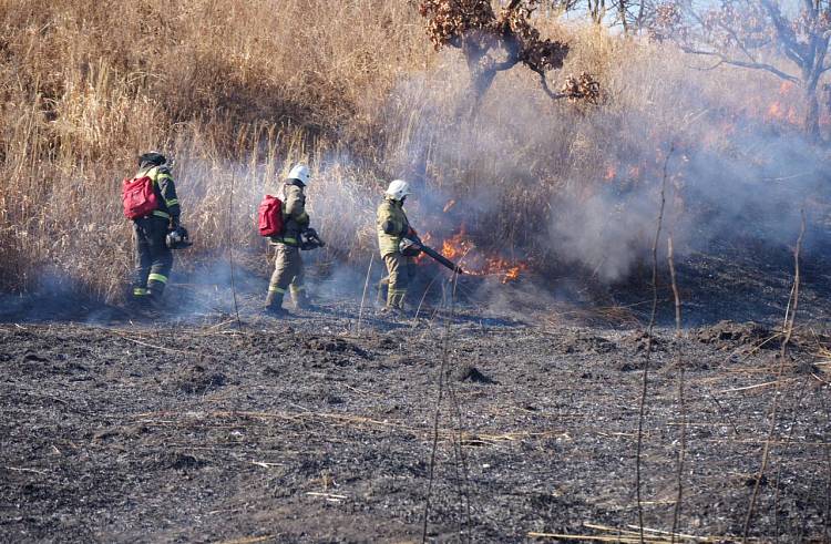Природный пожар ликвидировали за сутки в Приморье