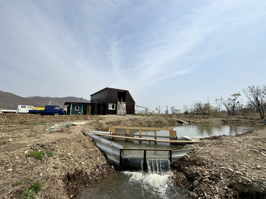 Энергетики Владивостокской ТЭЦ-2 организовали зарыбление реки на юге Приморья