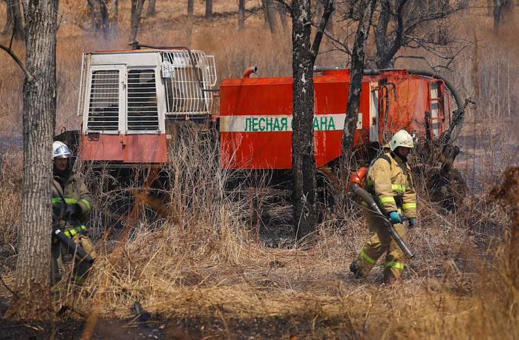 В Приморье продолжают борьбу с лесными пожарами