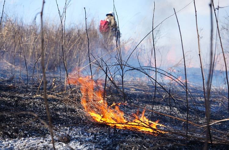 В Приморье за сутки потушили два природных пожара