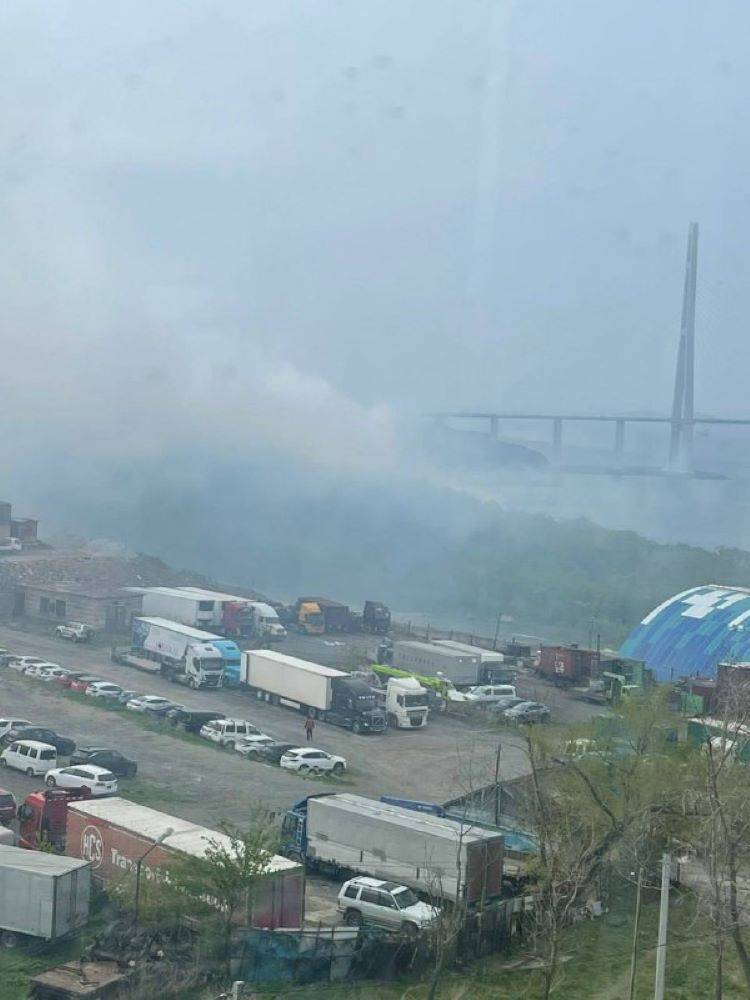 Жители Владивостока встревожились из-за едкого дыма и запаха гари