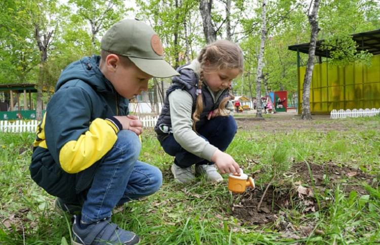 Приморские дети отметили всероссийский День посадки деревьев