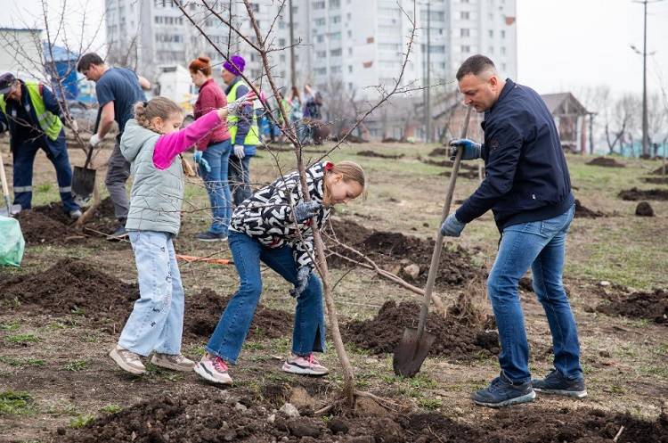 Высадка яблонь состоится в Покровском парке во Владивостоке