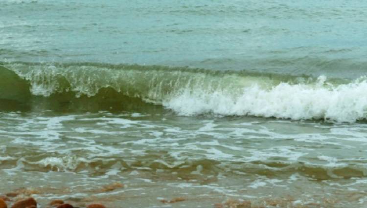 На пляжах Находки заметили разлив нефтепродуктов