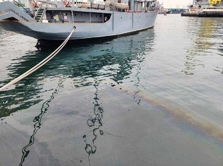 Загрязнение акватории Золотого Рога обнаружили во Владивостоке
