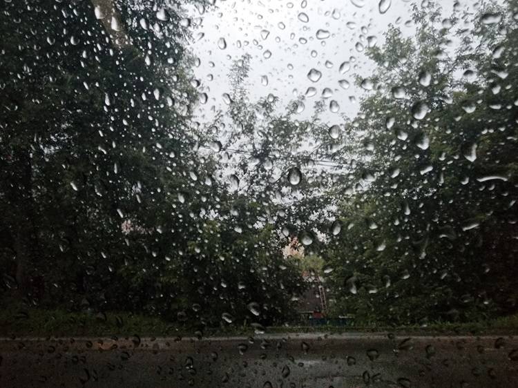 Дожди накроют Приморье в начале следующей недели