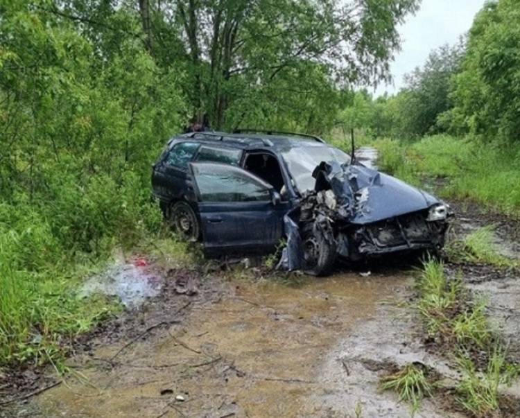 Мужчина погиб в авто, влетевшем в дерево в Приморье