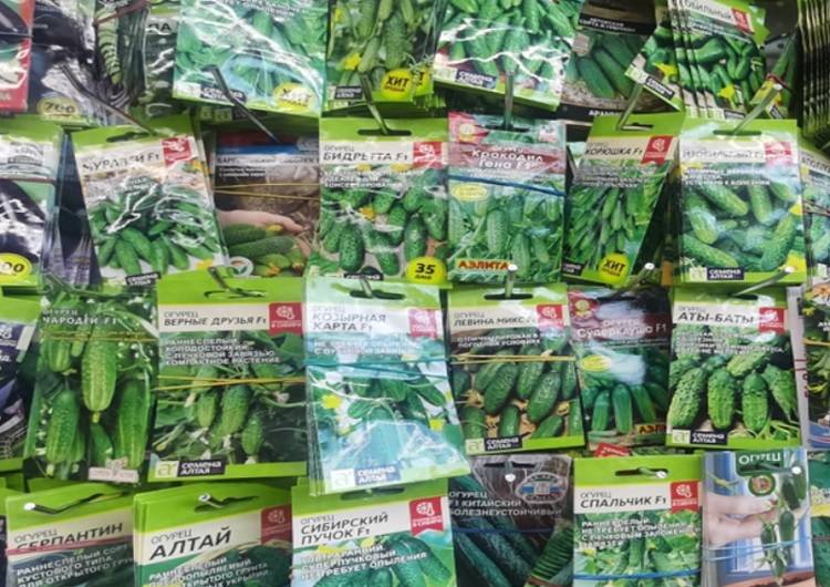Незаконную продажу семян пресекли в Приморье